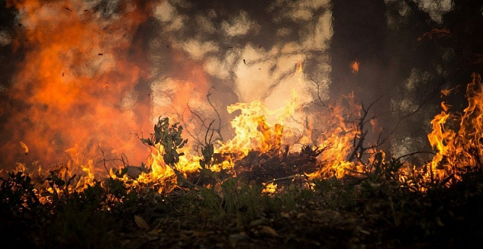 В Бурятии потушили лесные пожары на площади почти 4 тысячи га