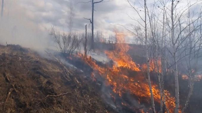 В районе Бурятии продолжают тушить лесной пожар