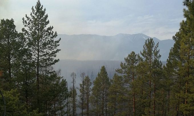В лесах Бурятии с начала сезона зафиксировали 193 пожара