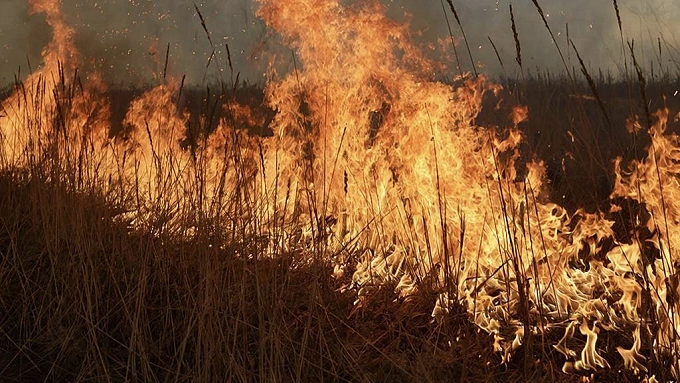 Ландшафтный пожар тушат в районе Бурятии. ОБНОВЛЕНО