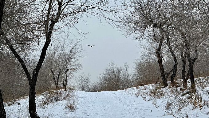 Настоящая зима пришла в Бурятию в последний день осени