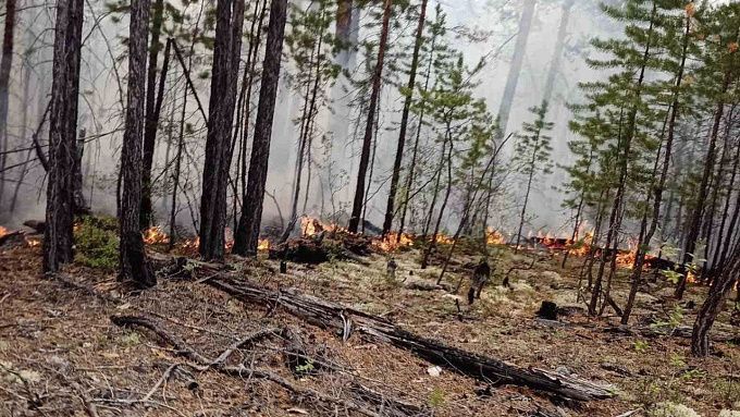 Два крупных лесных пожара продолжают бушевать в Бурятии