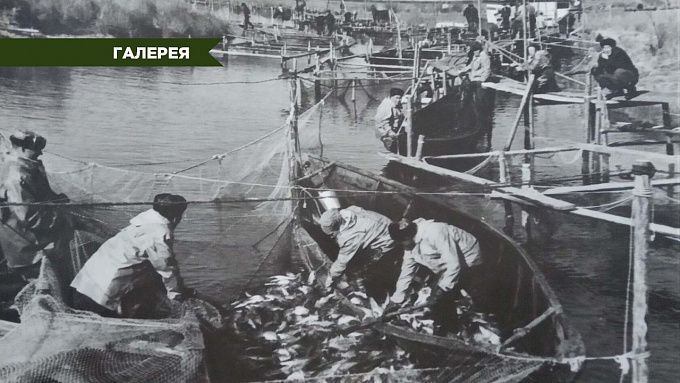 «Ловись, байкальская рыбка». Как жили и трудились посольские рыбаки