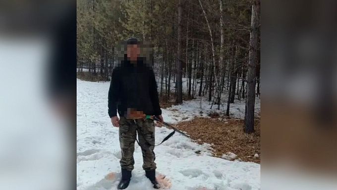 Трое жителей Бурятии заплатят за убийство кабана