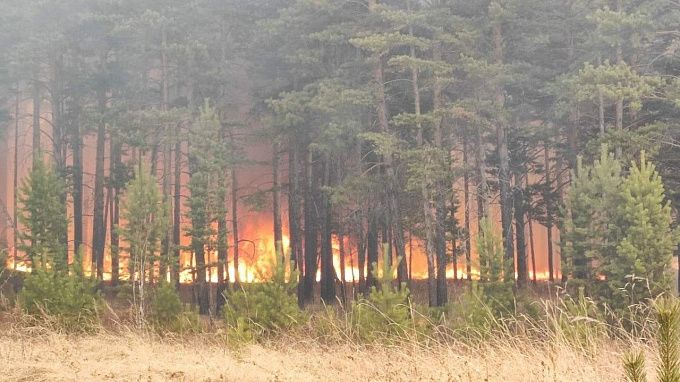 В нацпарке Бурятии ликвидировали лесной пожар на площади почти 970 гектаров