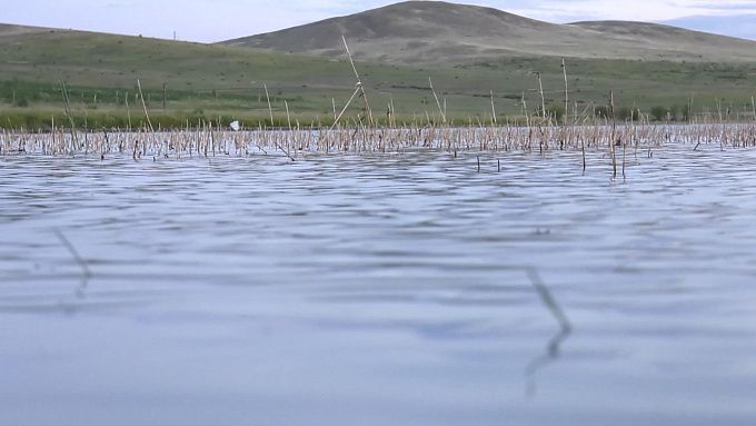 Озера в районе Бурятии небезопасны для купания