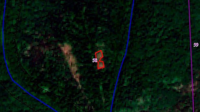 В Бурятии «черных» лесорубов ловят с помощью спутников