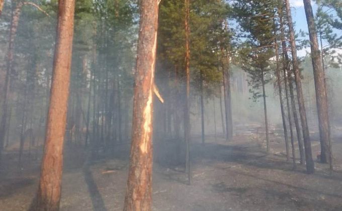 В Бурятии за сутки горело более 28 гектаров леса