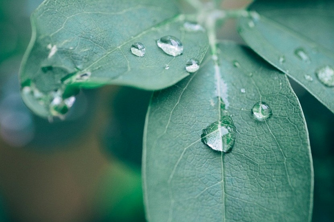 В Улан-Удэ возможен дождь с грозой