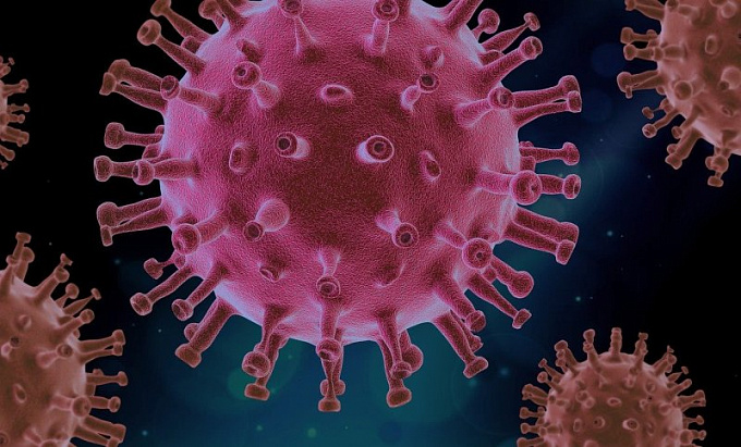 В Роспотребнадзоре разъяснили, почему антитела - не гарантия иммунитета к COVID-19