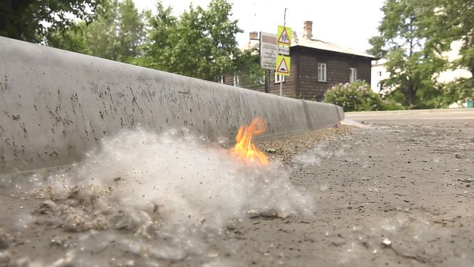 В Улан-Удэ неизвестные спалили пух и траву на большой площади