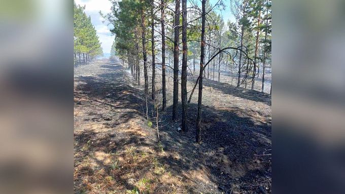 В Бурятии за сутки сгорело более 4 гектаров леса