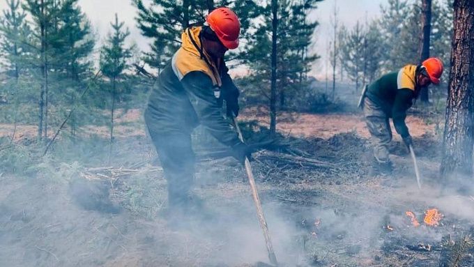 Торфяной пожар перешел на лес в районе Бурятии