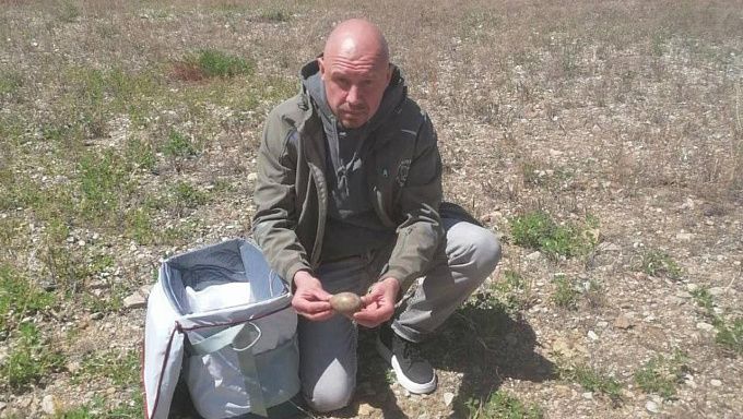 Найденные в аэропорту Улан-Удэ яйца краснокнижных журавлей отправили в Москву
