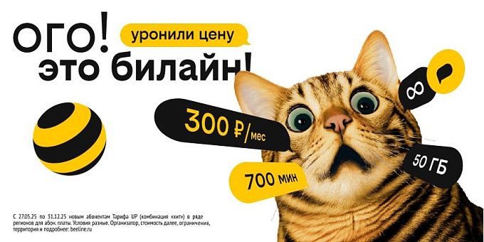 Билайн снизил цены для жителей Улан-Удэ при новом подключении