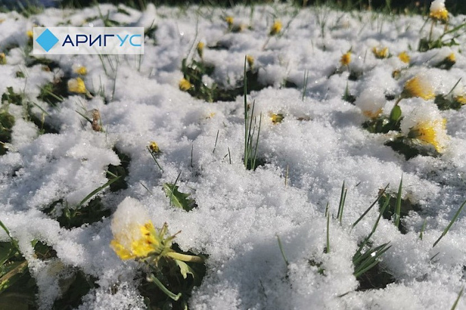В Окинском районе Бурятии снова выпал снег (ФОТО)