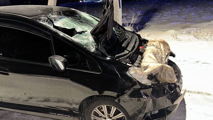 Водитель на «Хонде» сбил троих пешеходов в Иркутской области и скрылся с места аварии