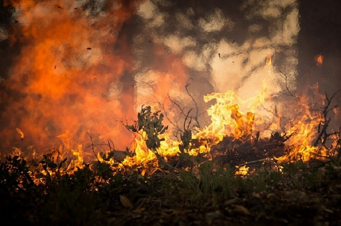 В 14 районах Бурятии тушили лесные пожары