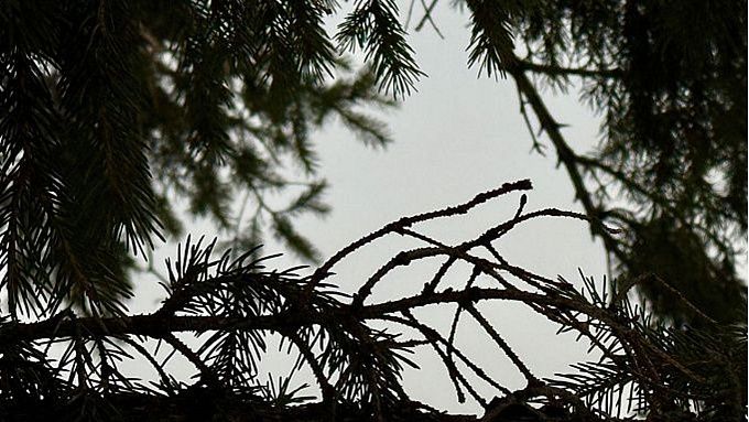 Дождь, снег и ветер: непогода накроет Бурятию