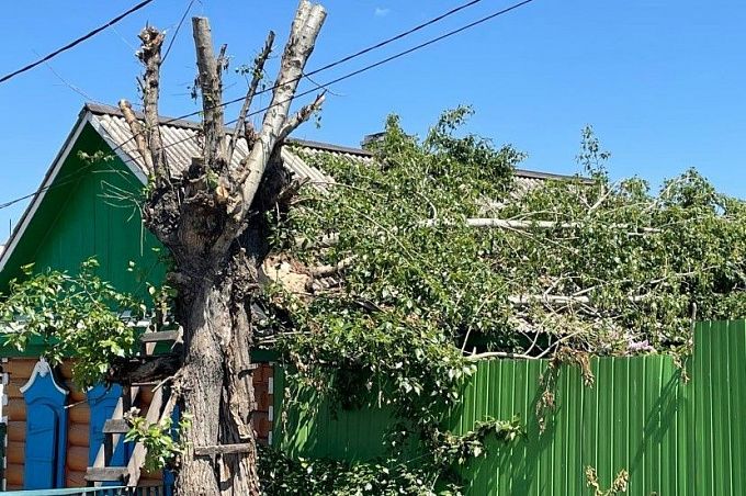 В Улан-Удэ на жилой дом рухнуло дерево