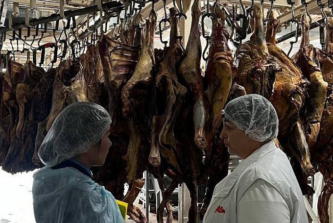 В Бурятии утилизировали более 700 кг мясной просрочки