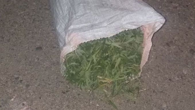 В Бурятии водитель попал под уголовную статью за незаконный груз