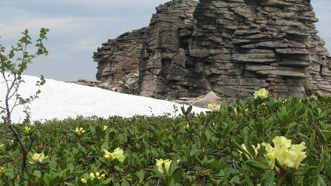 Заморозки ударят по Бурятии
