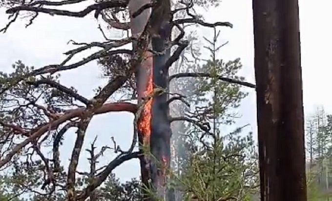 В Бурятии более 250 человек тушат пожары в лесах