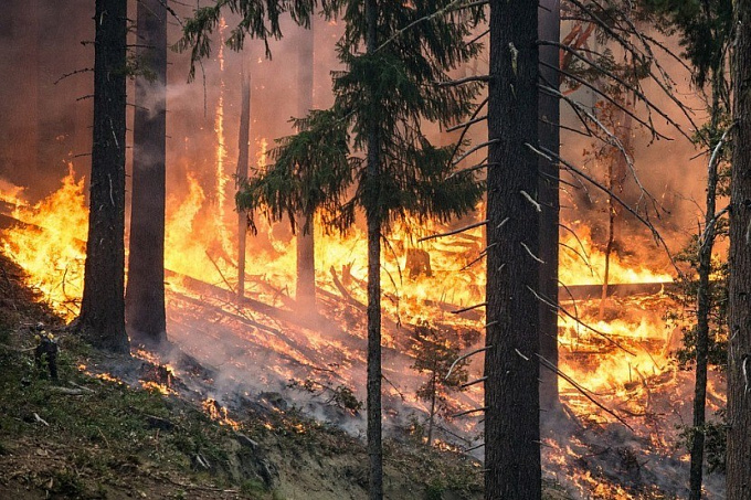 В Бурятии тушили сложный лесной пожар 