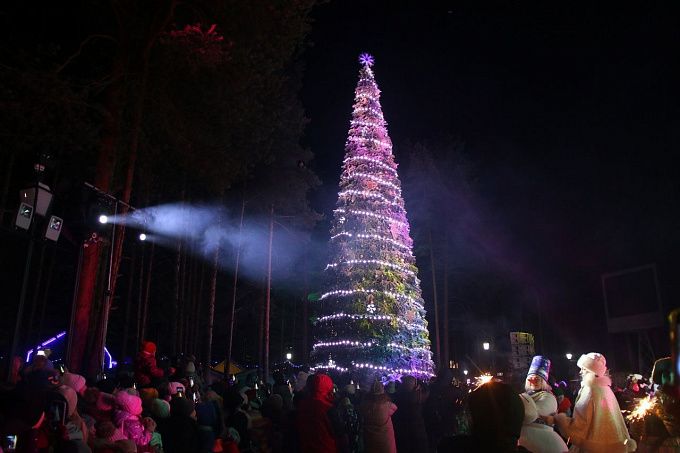 Дед Мороз зажег огни на первой в стране новогодней елке 