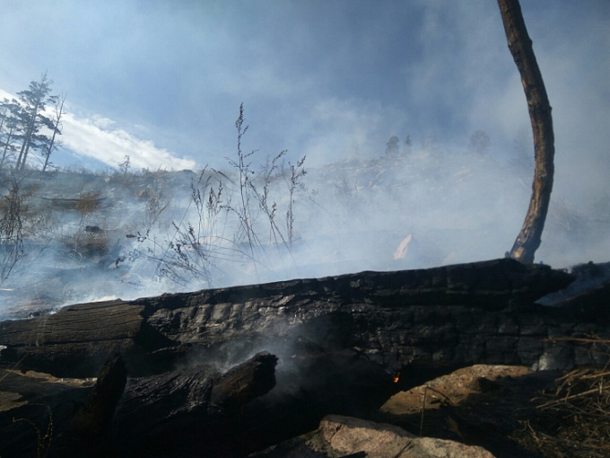Крупный пожар в Улан-Удэ. Лес горит на станции Дивизионная