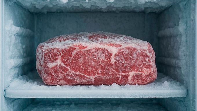 В Бурятии в мясе медведя обнаружили опасного паразита 