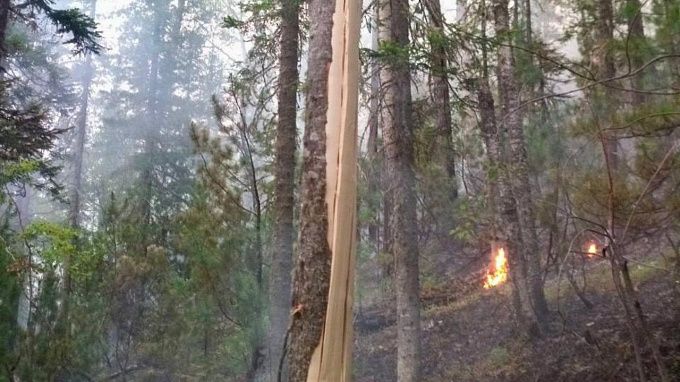 Тайга загорелась из-за обрыва ЛЭП в Бурятии