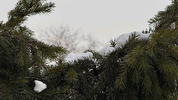 Снегопады пройдут местами в Бурятии