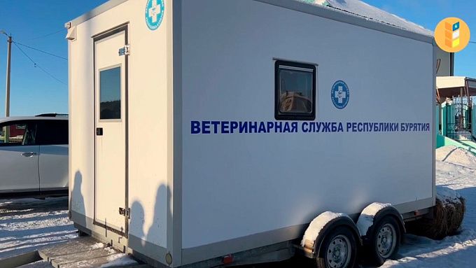 Более 700 машин с «запрещенкой» из Забайкалья развернули на границе с Бурятией