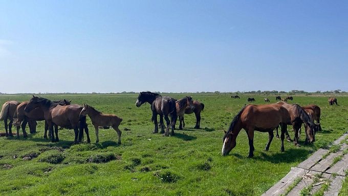 Жаркая погода сохранится в Бурятии