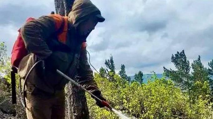 Тайга вспыхнула после удара молнии в районе Бурятии