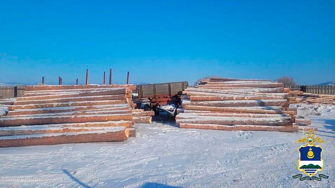 В Бурятии шестерым «черным» лесорубам грозит до семи лет в колонии