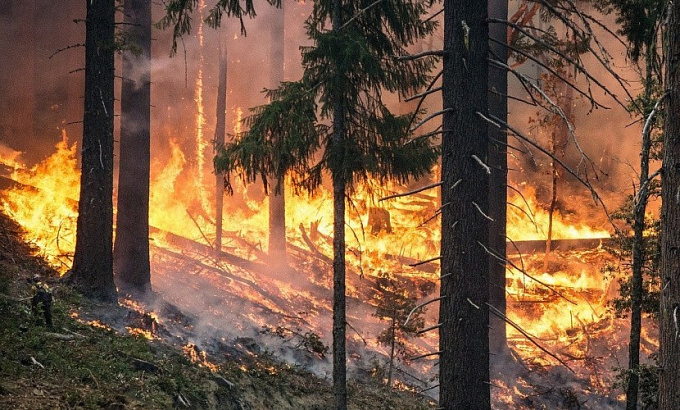 В Бурятии за сутки боролись с 15 лесными пожарами