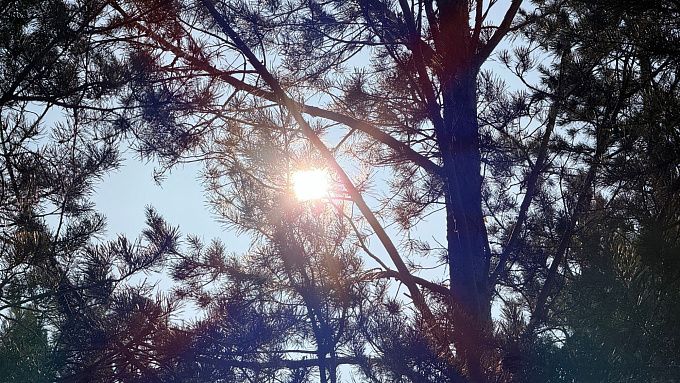 Сильный ветер и небольшой снег прогнозируют в Бурятии