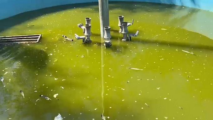 В Улан-Удэ очистили фонтан, превратившийся в болото. ВИДЕО