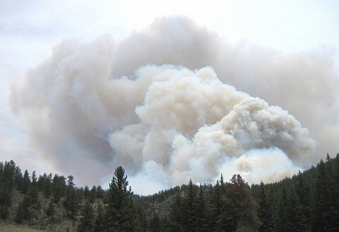 Сезон открыт. В Бурятии обнаружили сразу два лесных пожара