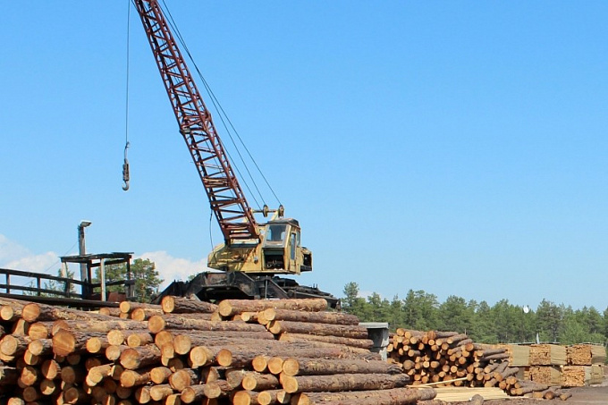 Фирма незаконно вывезла лес из Бурятии почти на 3 млн рублей