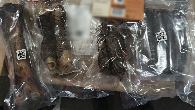 4 тонны монгольских лакомств для собак и кошек не прошли проверку в Бурятии