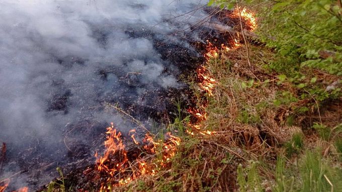 В районе Бурятии ищут возможных виновников лесного пожара