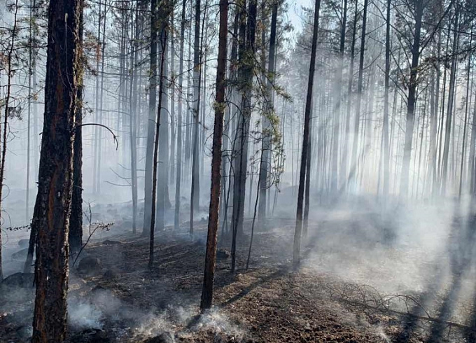 На тушение пожара в Северо-Байкальском районе Бурятии привлекли вертолеты