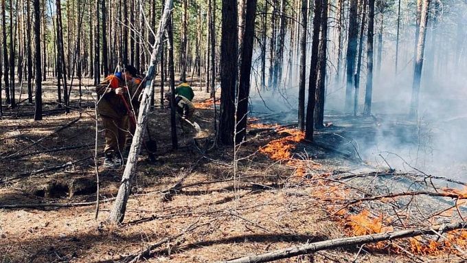 Леса Бурятии спасают от пожаров почти 400 человек