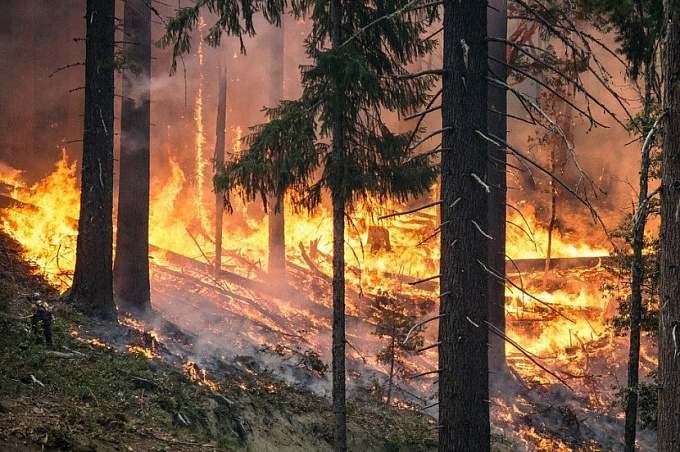 В нацпарке Бурятии удалось потушить лесной пожар