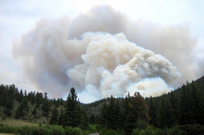 Четыре лесных пожара действуют в Бурятии