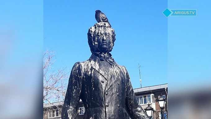 «Вся любовь на нем»: В Улан-Удэ памятник Пушкину вновь массово «облюбовали» птицы